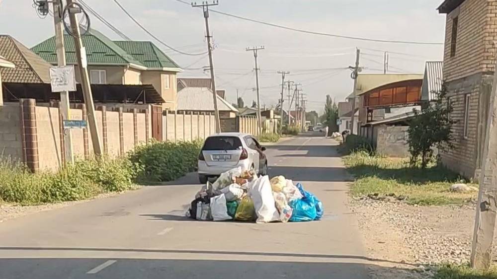 Трахнул телку посреди улицы