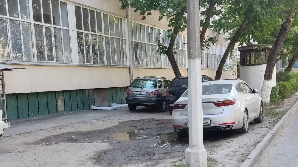 Возле 6-корпуса КНУ водители паркуются в зелёной зоне. Фото горожанина