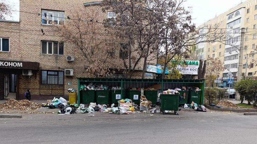 Мусорные баки на Шопокова очищены. Фото мэрии