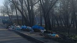 Горожанин просит Минприроды ограничить оборот пластиковых пакетов и разовой посуды. Фото