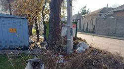 Мусор на ул.Дзержинского не убирают. Фото