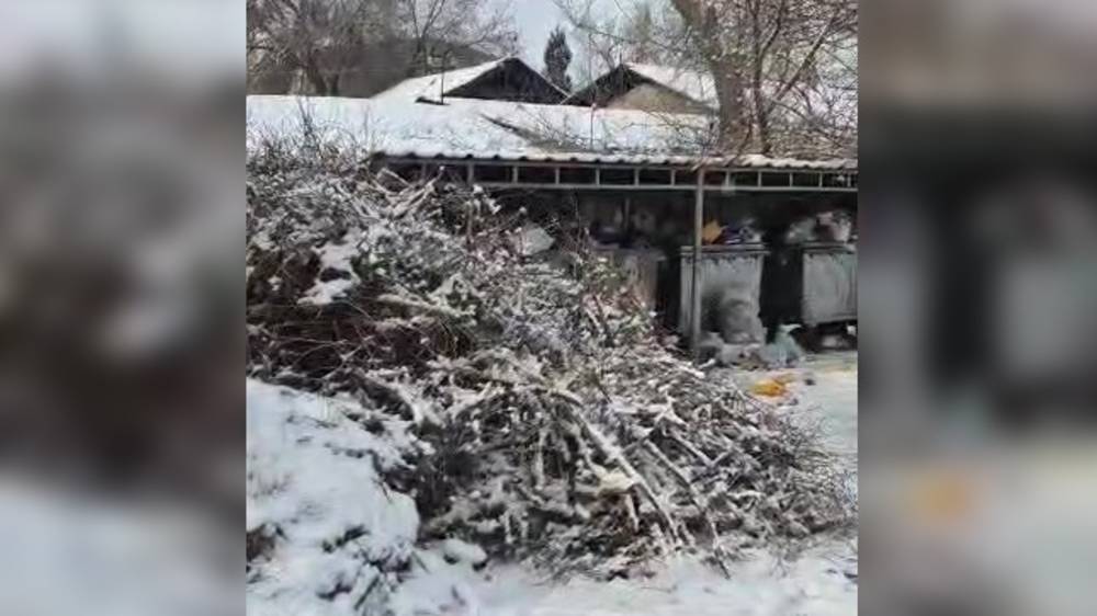 В Пишпеке срубили дерево, а все ветки сложили в кучу возле мусорной площадки. Видео