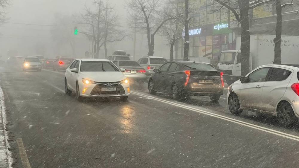 Видео — Метель в Бишкеке