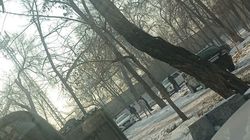 В сквере на Линейной организовали автопарк. Законно ли? - горожанин