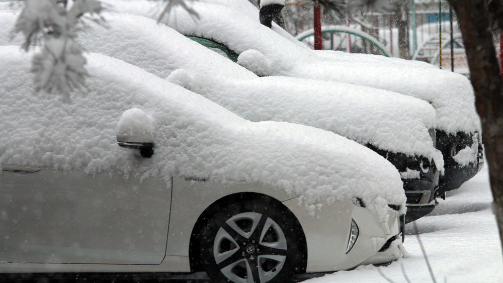 Иллюстрациялык сүрөт