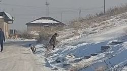 В Ак-Ордо-3 дети скатываются с горки прямо на дорогу. Видео водителя