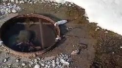 В Александровке вода из колодца топит дорогу. Видео жителя
