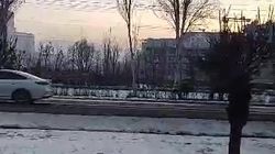 На Южной магистрали снова пасутся лошади. Видео