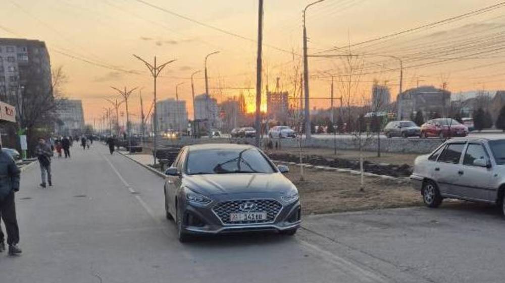 «Соната» припаркована на велодорожке. Фото