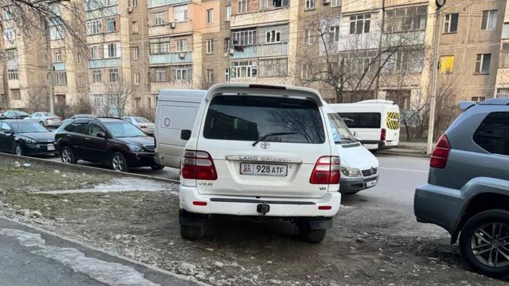 «Крузак» стоит в зеленой зоне. Фото