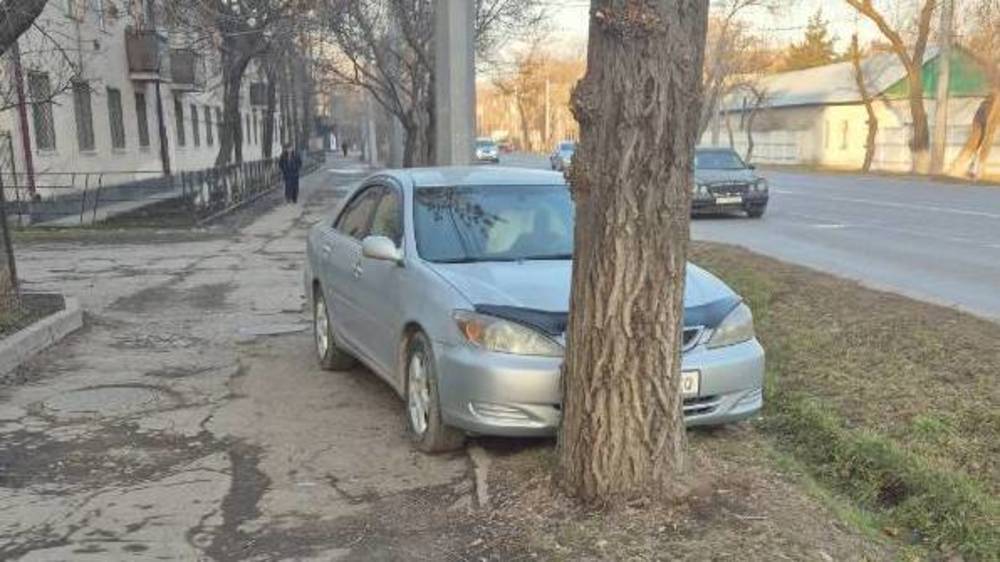 «Я больше так не буду». Горожанин пообещал не парковаться в зеленой зоне на Льва Толстого. Видео мэрии