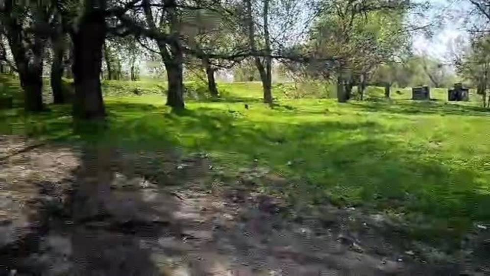 Грузовик уничтожает зеленую зону в селе Пригородное. Видео мэрии