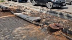 «Бишкекзеленстрой» рассказал, почему спилили деревья на Московской