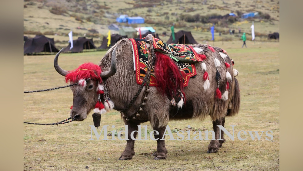 як в Бутане