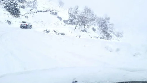 Иллюстрациялык сүрөт