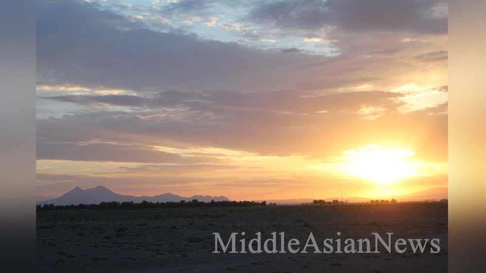 Саксауловый лес в сомоне Цогт на горизонте