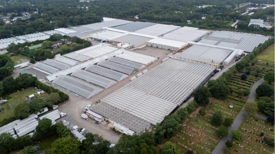 Некоторых участников программы J-1 отправили в промышленную теплицу на Лонг-Айленде, где они получили травмы и подверглись преследованиям