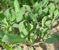 Фото прикрепленное к статье