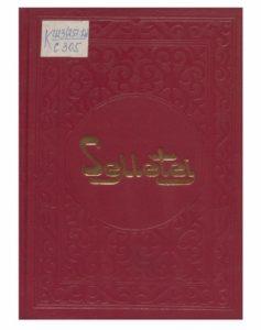 Семетей. Книга вторая. Бишкек — 1999г.