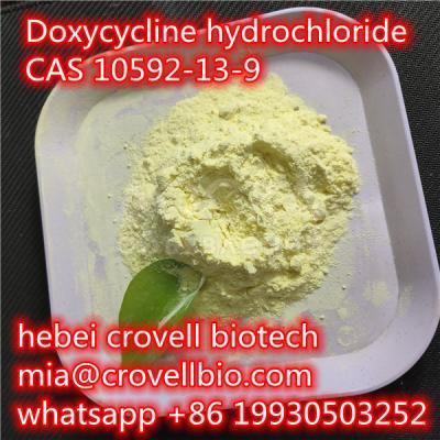 Doxycycline hydrochloride CAS 10592-13-9 supplier in China ( whatsapp +86 19930503252