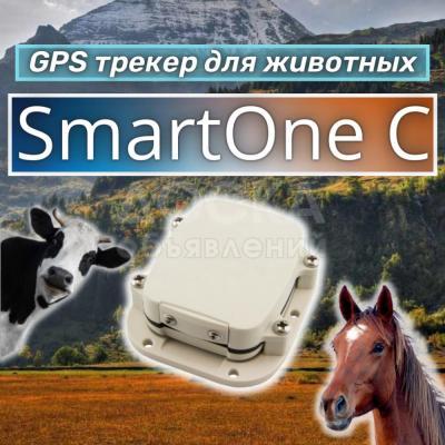 SmartOne C / GPS трекер для животных / с моб приложением