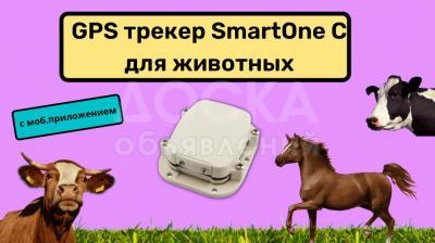 GPS оборудование SmartOne C для животных с моб.приложением