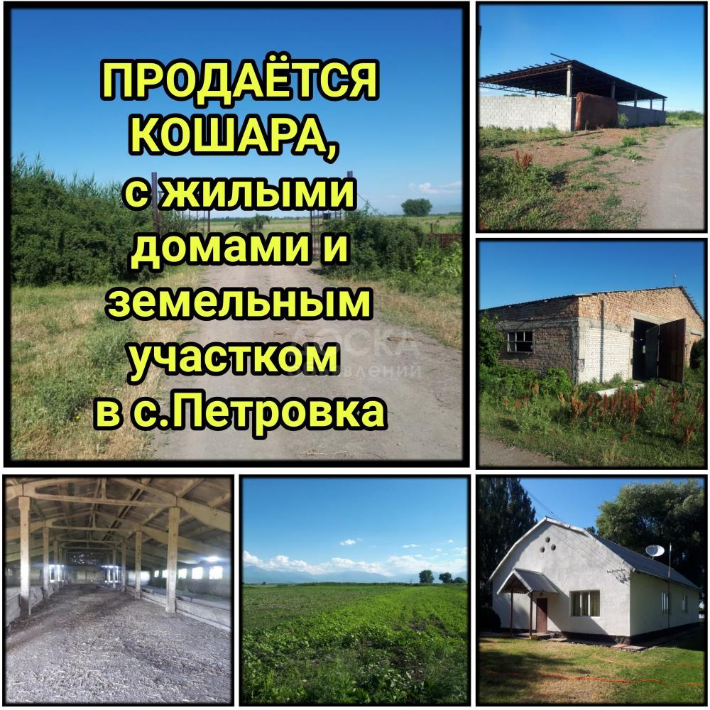 Продается кошара, с жилыми домами и земельным участком в с.Петровка.