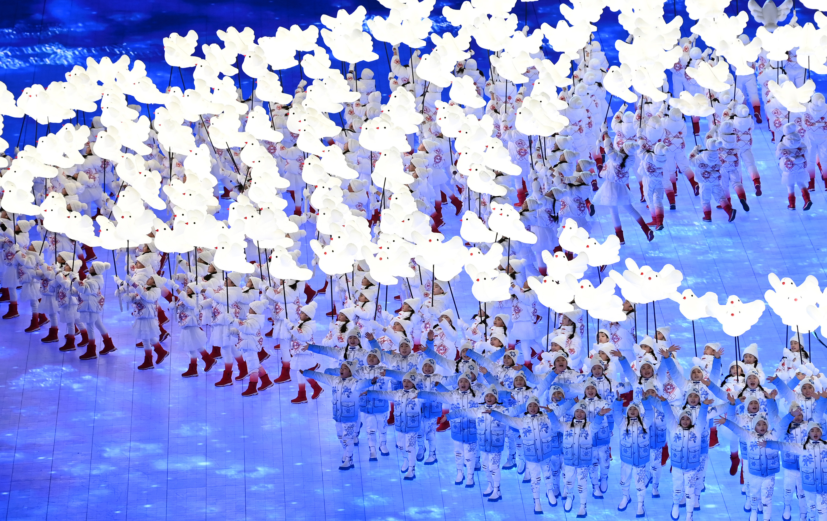 Смотрела открытие олимпиады. Птицы на открытии Олимпийских игр. В Пекине на Олимпиаде кр. Летящая тройка на церемонии открытия Олимпийских игр. Каких птиц традиционно выпускают на открытии Олимпийских игр.