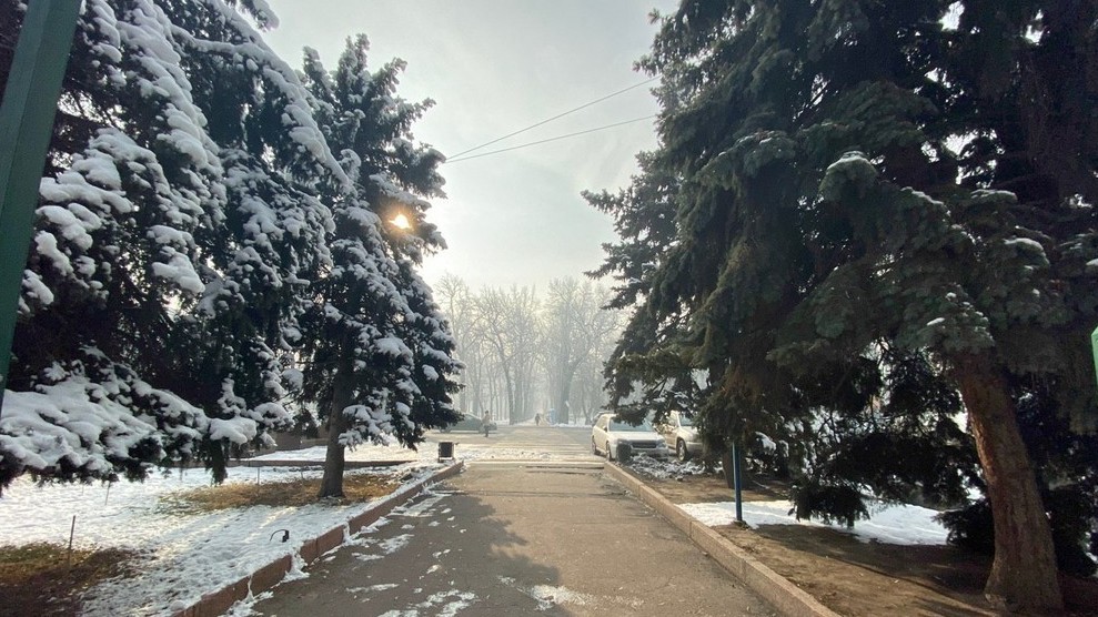 Парк имени Чынгиза Айтматова