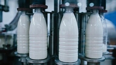 молочные предприятия