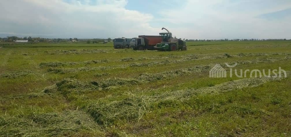 Порно видео ебля в траве