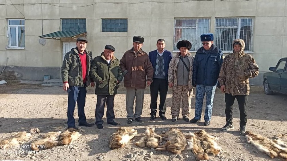 В Кочкорском районе отстрелили 13 хищников