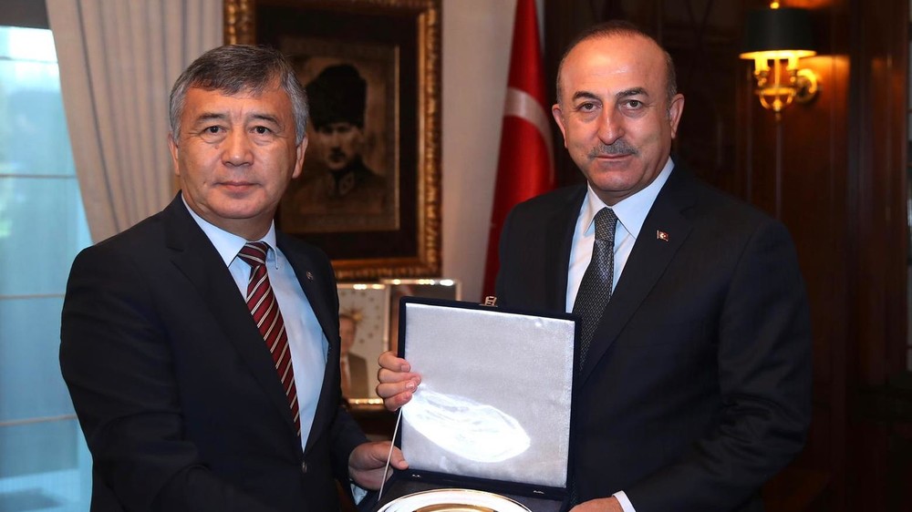 Ибрагим Жунусов и глава МИД Турции