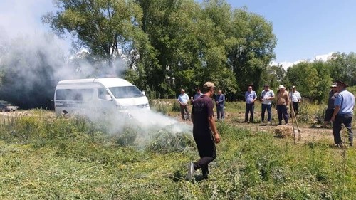 В ходе операции «Кара-Куурай» уничтожено более 187 тонн дикорастущей конопли – Сводка АКИpress - Vimarsana News