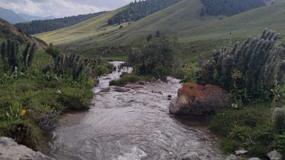 Жайлоо кыргызстан фото