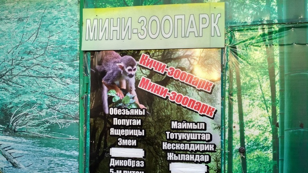 Так выглядела афиша зоопарка в парке Панфилова