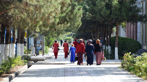 CentralAsia: В Туркменистане активисты просят ВОЗ признать пандемию в их стране - Vimarsana News