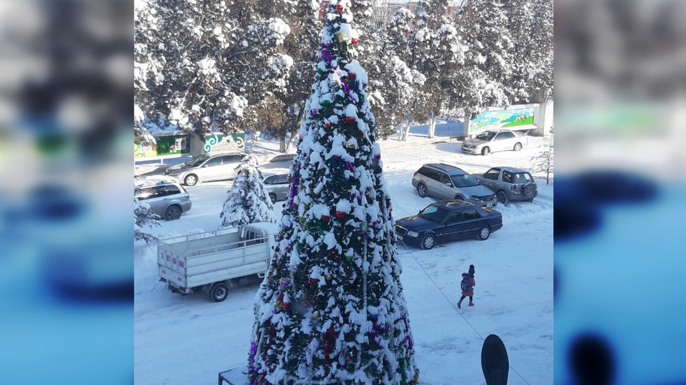 Новогодняя елка в Сокулукском районе