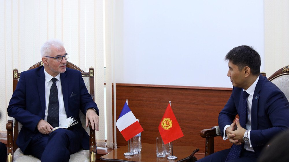 Встреча министра иностранных дел Чингиза Айдарбекова и посла Франции в КР Микаэля Ру