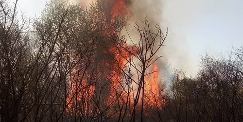 За сутки в Кыргызстане зарегистрировано 7 пожаров. Пострадал один человек – Сводка АКИpress - Vimarsana News