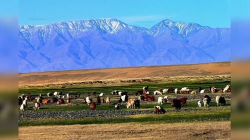 CentralAsia: Центральные провинции Монголии стремятся развивать экологически устойчивое сельское хозяйство - Vimarsana News