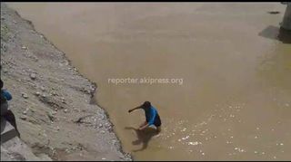 Видео — Жители Ак-Талинского района вброд переходят реку Нарын из-за отсутствия моста
