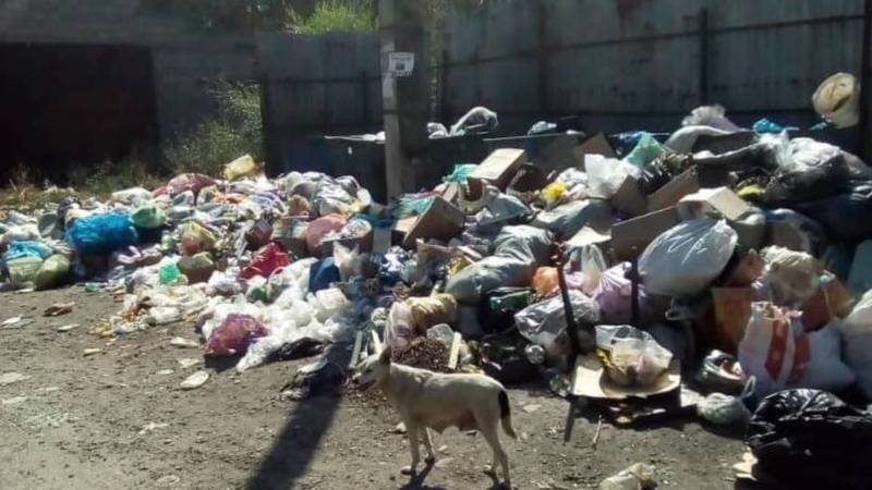 «Вонь и антисанитария». Житель Новопокровки жалуется на мусор. Фото