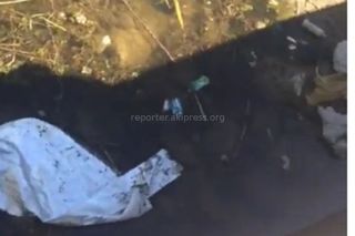Канал в селе Маевка на Шакира-Шаттыка утопает в мусоре (видео)