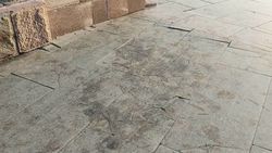 Горожанин жалуется на грязь и мусор на площади Победы. Фото