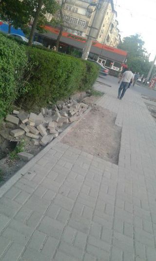 Мэрия Бишкека: На участке ул.Тыныстанова во время субботника были высажены липы