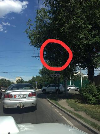 Мэрия столицы о светофоре на Жумабека-Шопокова, которого не видно: Будет дано соответствующее поручение УОБДД Бишкека