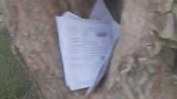 В Джале пачку квитанций «Тазалыка» оставили в дупле дерева. Видео