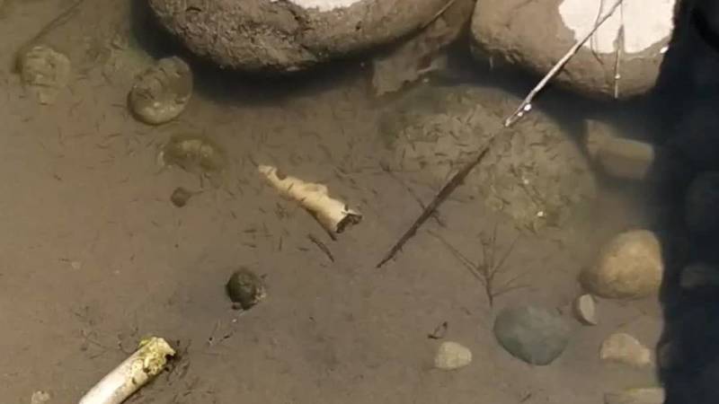 У реки Ала-Арча специфический запах после остановки воды. Видео горожанина