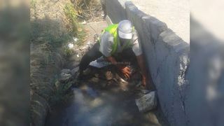 Сотрудники «Бишкекзеленхоза» устранили подтопление тротуаров на Ахунбаева-Малдыбаева